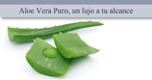 Aloe Vera puro, un lujo a tu alcance